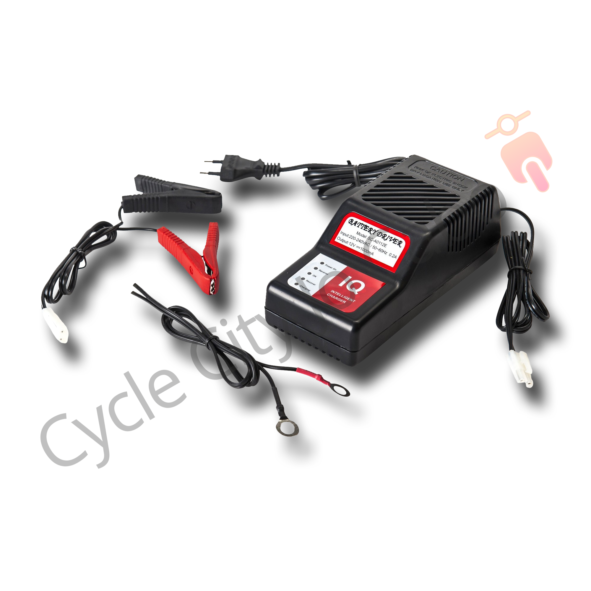 Rusteloosheid lobby vrijgesteld Druppellader - Acculader Scooter - Motor - 12V - Landport Commander